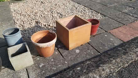 Photo of free 5 x Med/large plant pots (Staines-Upon-Thames, TW18) #1