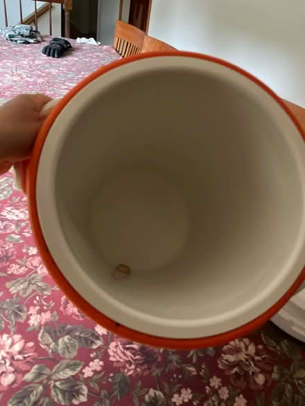 Photo of free 5 gallon igloo drink cooler (South acton) #4