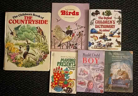 Photo of free Children’s books (Jennett's Park RG12) #1