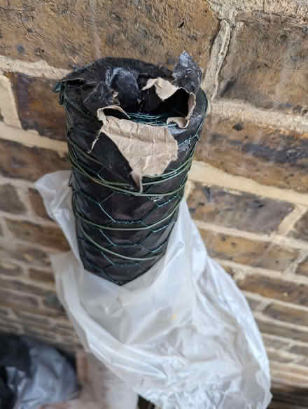 Photo of free Wire covering mesh, green (Ravenscourt Park W6) #1