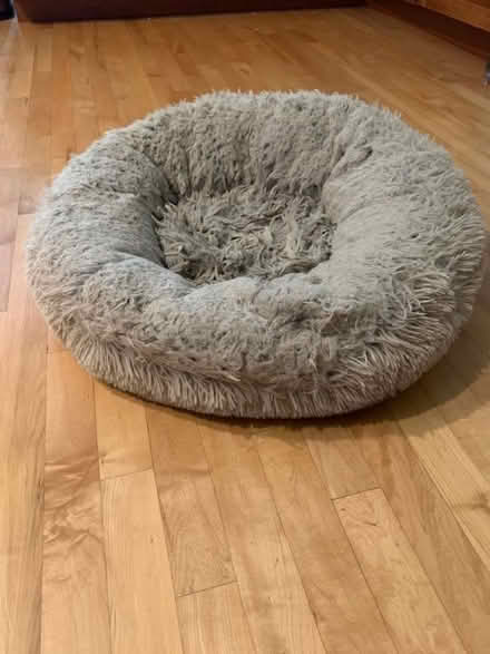 Photo of free Pet Bed (Bolton, MA) #1