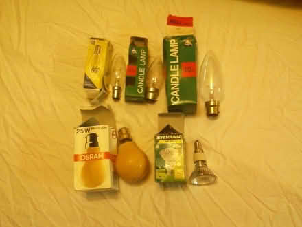 Photo of free Various small light bulbs, 25w to 60w (Purley CR8) #1