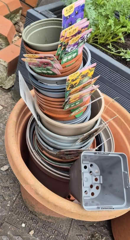 Photo of free Plant pots (Heath, CF14) #2