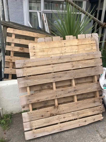 Photo of free 6 pallets (Hollingdean BN1) #1