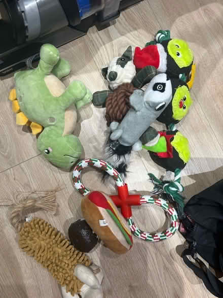 Photo of free 7 dog toys (SE20) #1