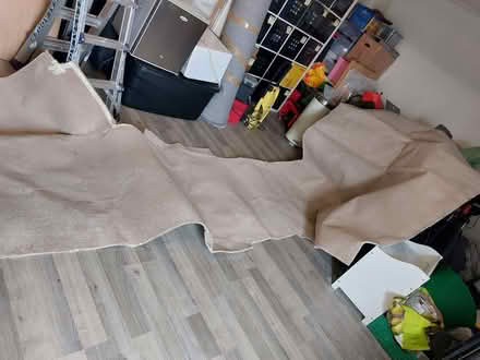 Photo of free Carpet (Willington MK44) #1