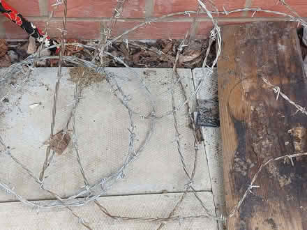 Photo of free Barbed wire (Willington MK44) #1