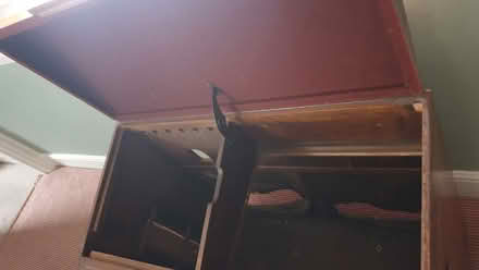 Photo of free Fifties radiogram cabinet (Hove Green BN3) #3