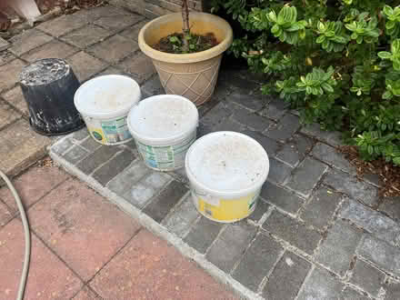 Photo of free Sandtex magnolia paint (St Marychurch, Torquay) #1