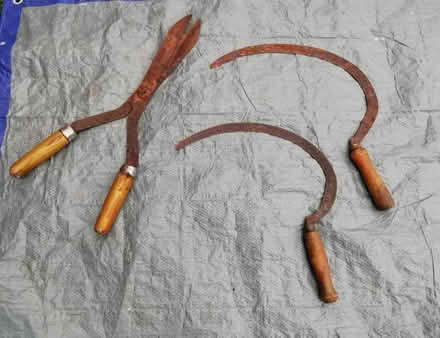 Photo of free Shears and scythes (Cheshunt EN7) #1