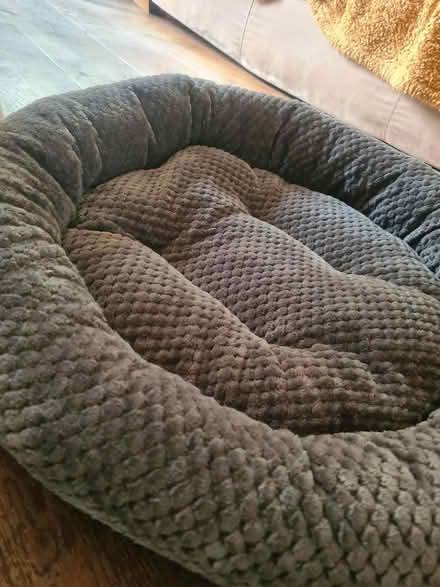 Photo of free 2 large cat beds unused (Romsey, CB1) #2