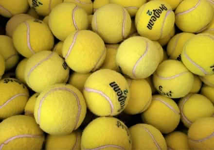 Photo of tennis balls for doggo (New Center/Metro Detroit Area) #1