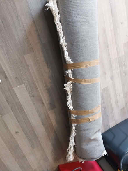 Photo of free Rug (Willington MK44) #2
