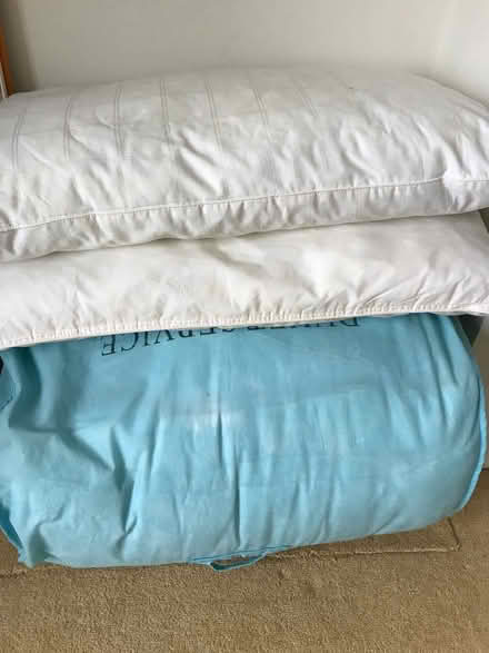 Photo of free Old bedding useful for pets (Carter Knowle S7) #1