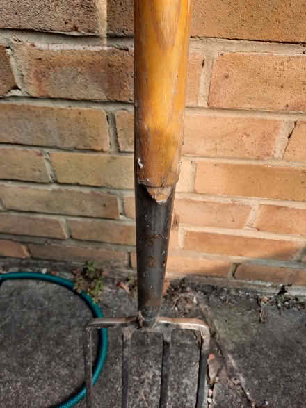 Photo of free Garden tools (Ashtead KT21) #3