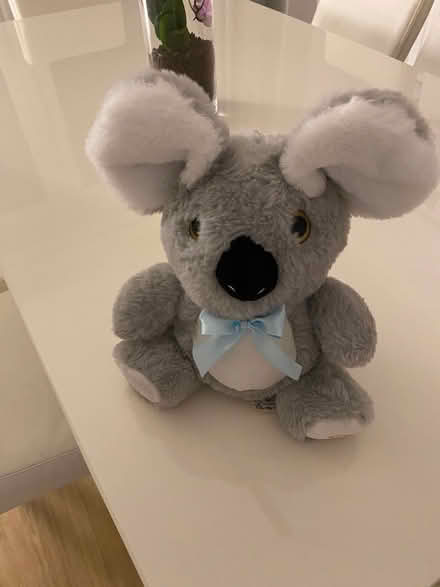 Photo of free Interactive toy (Foxholes SG13) #1