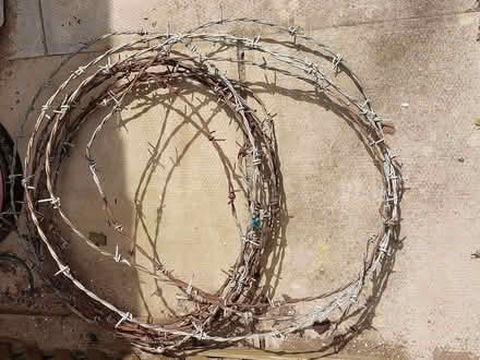 Photo of free Barbed wire (Willington MK44) #2