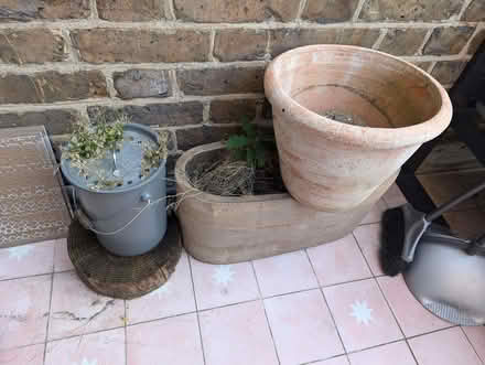 Photo of free Pots / Planters (Ravenscourt Park W6) #1