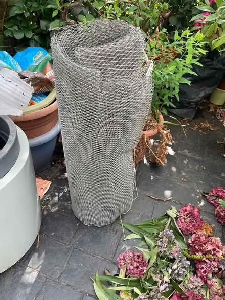 Photo of free Chicken wire (N21) #1