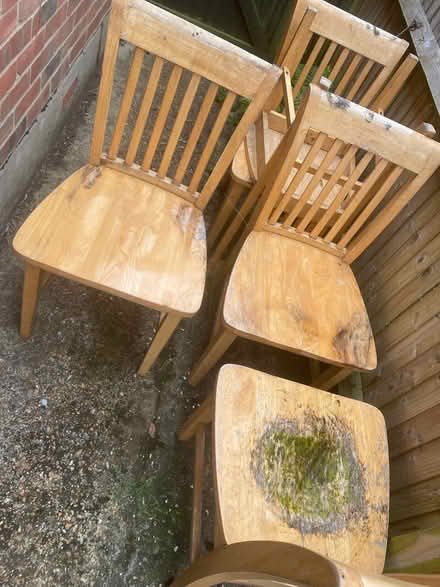 Photo of free Solid wood chairs (Willingdon BN20) #1