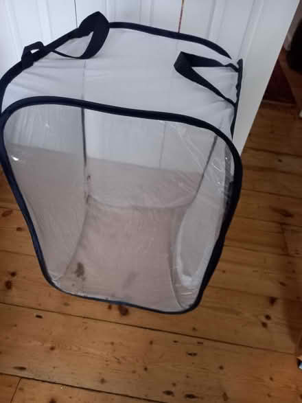 Photo of free Collapsible stick insect home (Loughborough Junction SE5) #1
