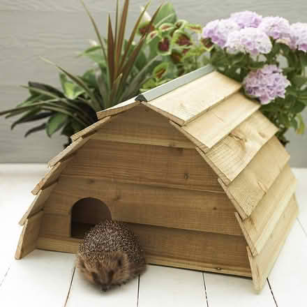 Photo of Hedgehog house (Ditton) #1