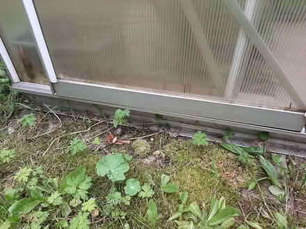 Photo of free Greenhouse Frame (Saltaire BD18) #4