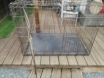 Photo of free dog, animal, crate available. Large (Guildford GU4) #1