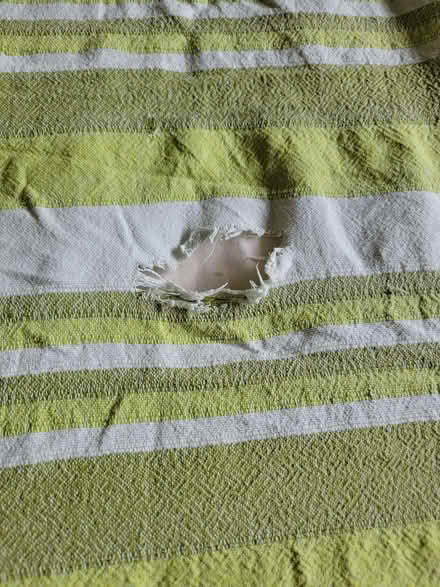 Photo of free Large green cotton throw - Hollingdean (Lower Bevendean BN1) #3