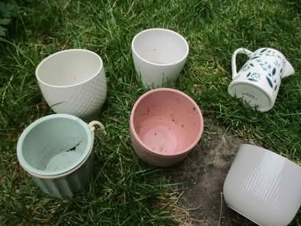 Photo of free ceramic plant pots in plastic storage tub (New Hinksey OX1) #2