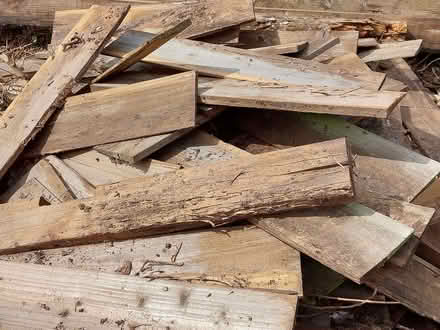 Photo of free Wood (Willington MK44) #2
