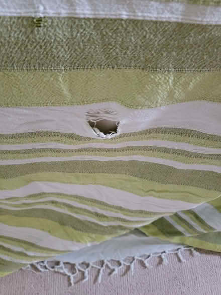 Photo of free Large green cotton throw - Hollingdean (Lower Bevendean BN1) #2