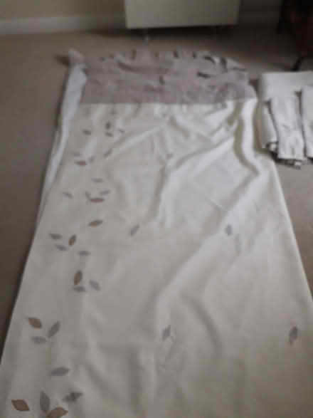 Photo of free Curtains (Branksome Chine BH13) #2