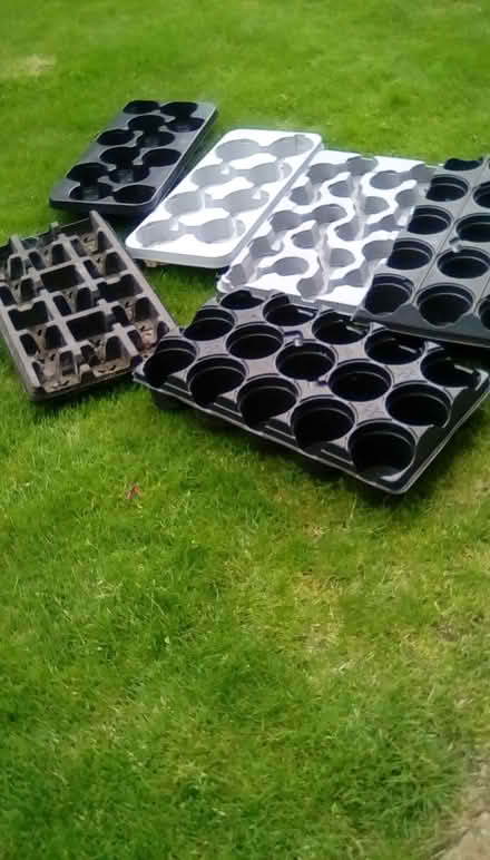 Photo of free Multiple plant pot trays (Priorslee TF2) #1