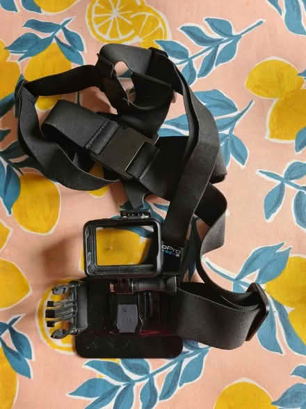 Photo of free Go pro harness (Wood green) #1