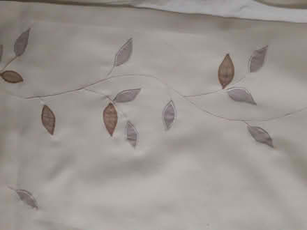 Photo of free Curtains (Branksome Chine BH13) #1