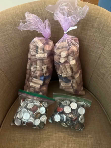 Photo of free Wine corks and foils (Near Busse and Golf) #1