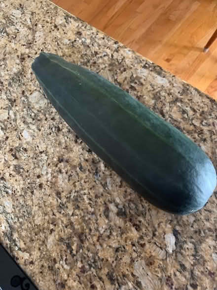 Photo of free Large Zucchini (SE Downers Grove) #1