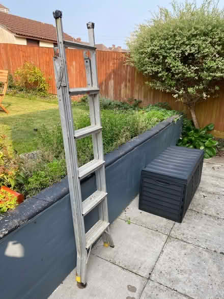 Photo of free Step ladder (SO50 Eastleigh) #2