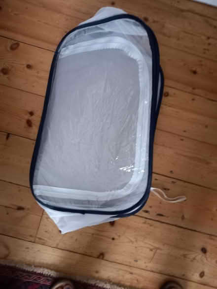 Photo of free Collapsible stick insect home (Loughborough Junction SE5) #2