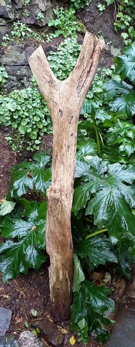 Photo of free Large Wooden Garden Feature/Sculpture (Penzance TR18) #2