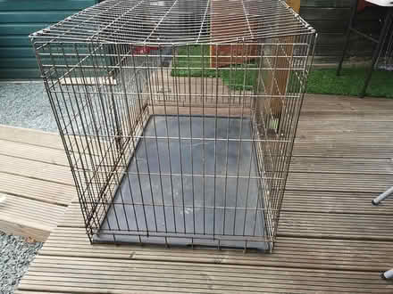 Photo of free dog, animal, crate available. Large (Guildford GU4) #2