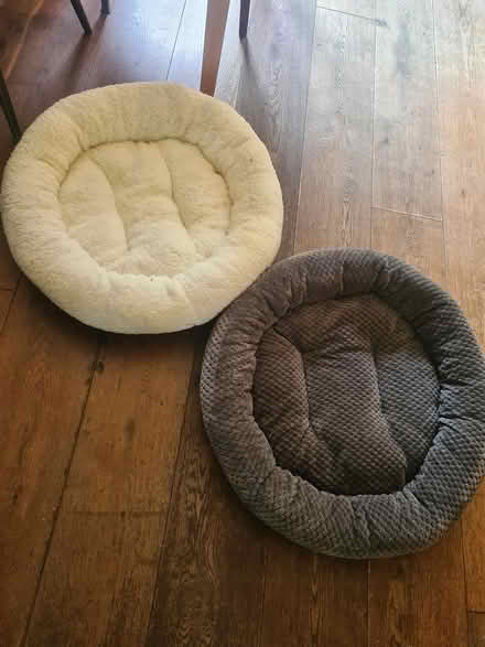 Photo of free 2 large cat beds unused (Romsey, CB1) #3