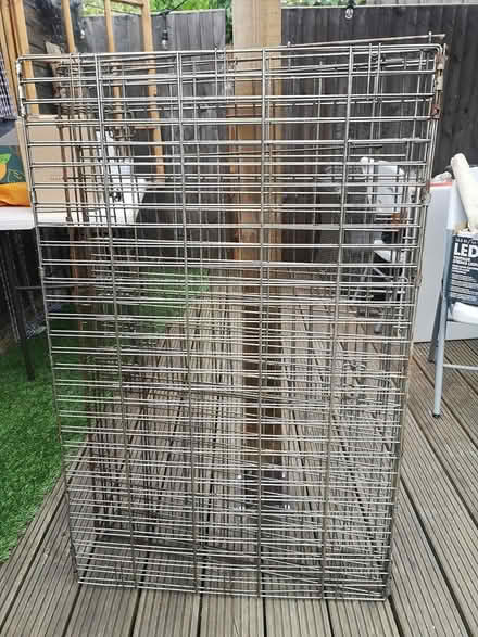 Photo of free dog, animal, crate available. Large (Guildford GU4) #3