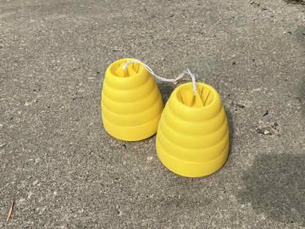 Photo of free Wasp traps, umbrella mosquito net (SW minneapolis) #1