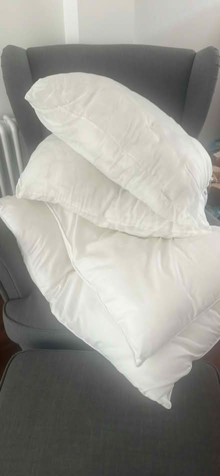 Photo of free Pillows / bedding (Burgess Hill) #1