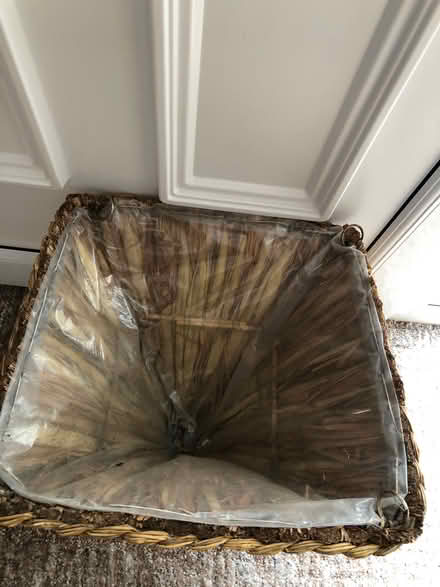 Photo of free 4 hanging baskets (Coburgh Corner TQ13) #2