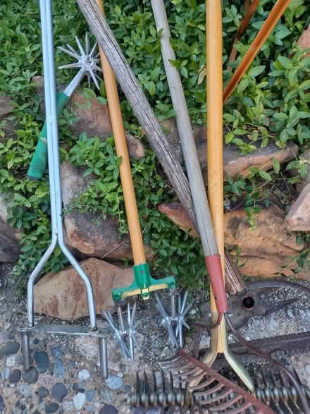 Photo of free Lawn tools (Alb, Tramway/Central) #1