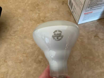 Photo of free CFL and incandescent flood lights (Mohegan Lake) #1