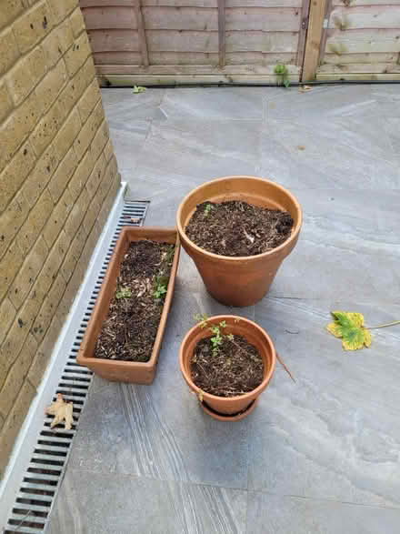 Photo of free Plant pots (Beckenham) #1